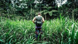 Ilustrasi elemen petualangan dan aksi bertahan hidup dalam film survival